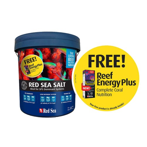 Red sea salt - red,