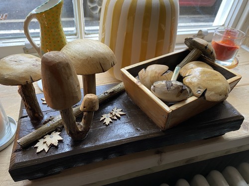 Woodland forage display - woodland,