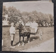WOMAN - PONY - CART - BOY -