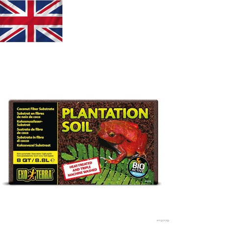 Exo terra litre - litre, plantation