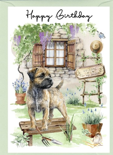 Border terrier dog - terrier,
