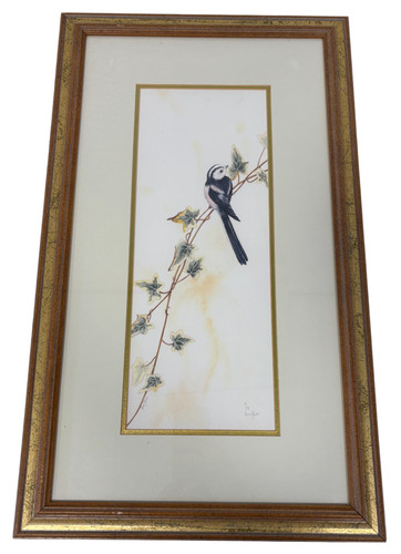 Anne jones long tailed tit - anne, long-tailed