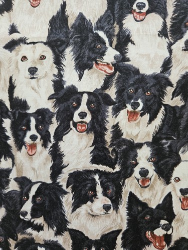 Dog fabric border collie - dog,