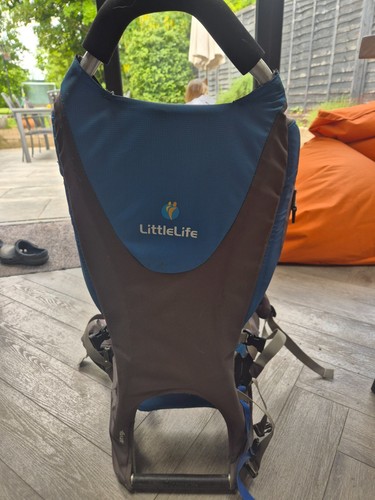 Littlelife backpack child