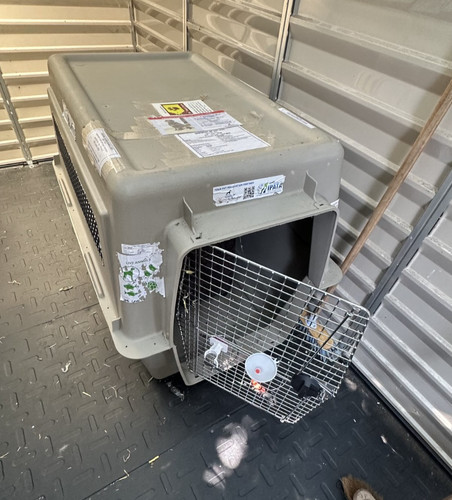 Dog crate carrier sturdy - dog,