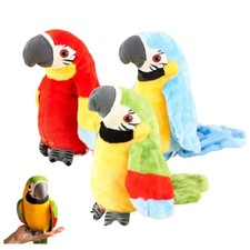 Repeat Parrot Talking Birds
