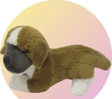 Jack Russell Terrior OR Beagle