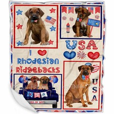 4th July Independence Day I