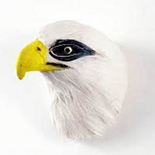 One collectable bald eagle - collectable,