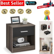 Elegant Chestnut & Black