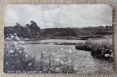 Cardigan afon teifi river - teifi, /