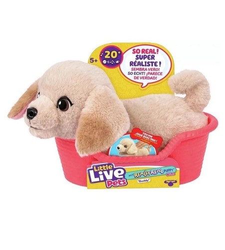 Little live pets - live,