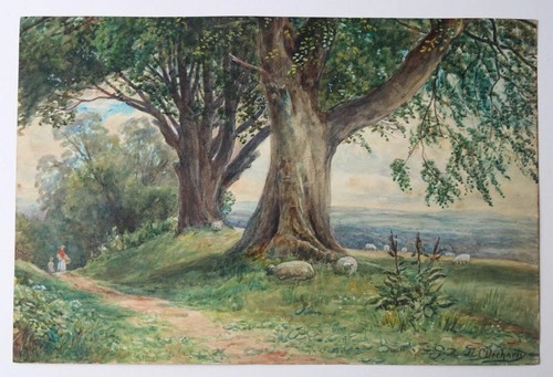 Antique watercolour sheep in - antique,