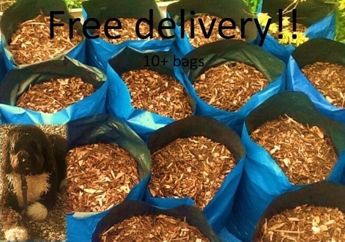 Wood chippings woodchip - wood, /