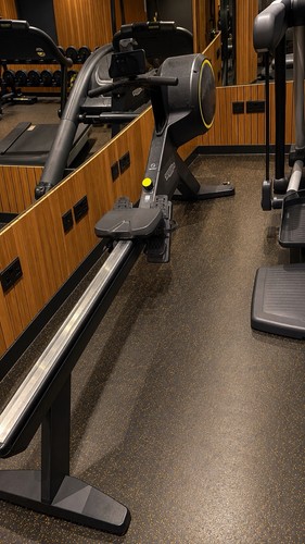 Technogym skillrow rower - skillrow,