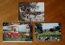 ROMANY LIFE, 3xPhoto postcards including Appleby Fair, Gypsy vardos & Barrie Law