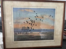 Peter Scott Print White fronts