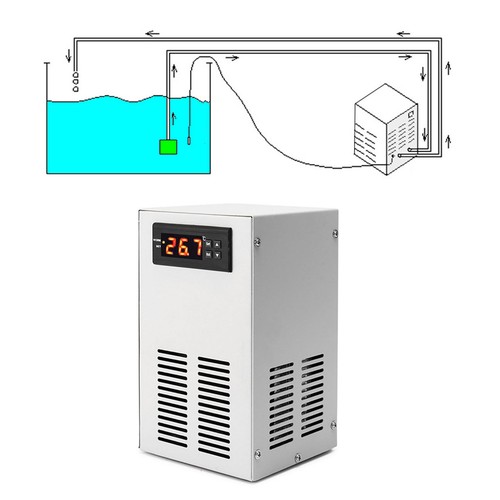 Quiet 20l aquarium - quiet, water