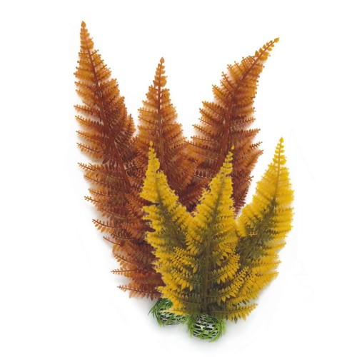 Biorb easy plant - autumn, fern