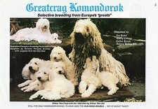 KOMONDOR GREATCRAG KENNELS OUR DOGS 1987 DOG BREED KENNEL ADVERT PRINT PAGE