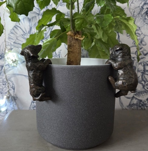 Fabulous pair resin - pair, of