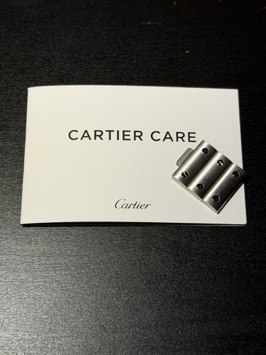 Cartier santos brushed - brushed, steel