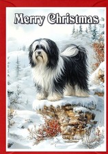 Tibetan Terrier Dog Christmas