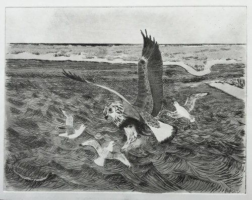 Aquatint etching storm gulls - aquatint,