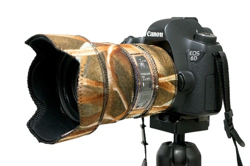 Canon 105 is - canon,