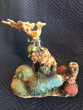 Rare aquarium fish tank