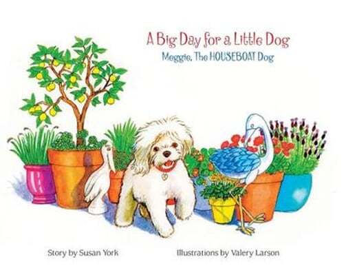 Big day for - day, little