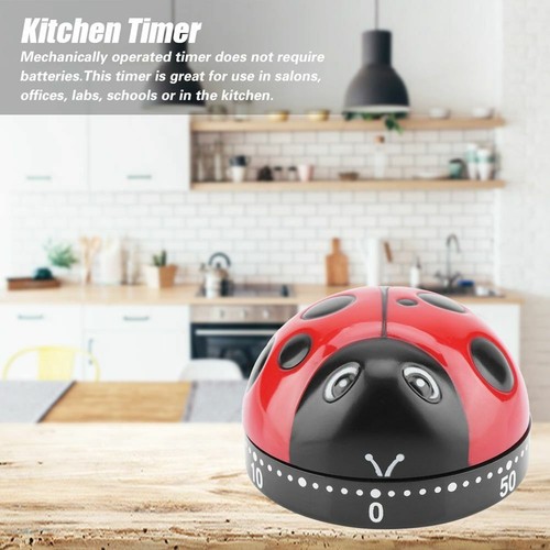 Kitchen timer minute - uk,