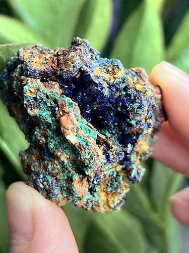 Azurite malachite geode - azurite,
