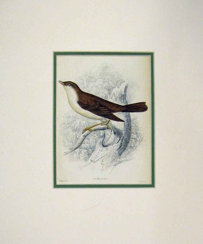 Original old antique print - old,