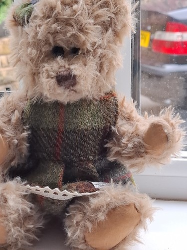 Scottish island bear - scottish,