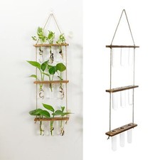 Wall hanging plant propagation - wall,