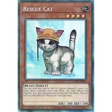 RA02-EN001 Rescue Cat 