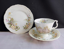 Royal Albert Cottage Garden