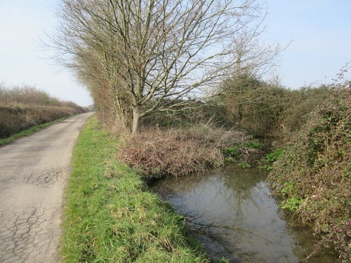 Photo pond adjacent - a3, to