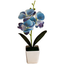 Plastic butterfly orchid - plastic,
