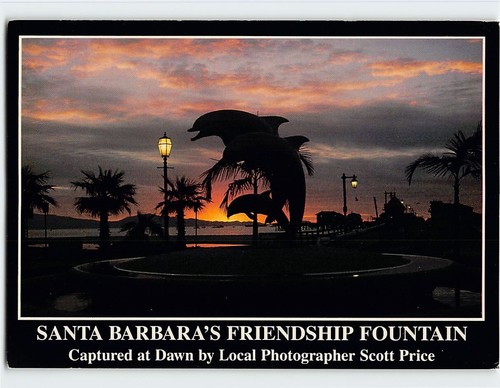 Postcard friendship dolphin - postcard, friendship/dolphin