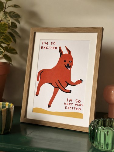 David shrigley so - david,