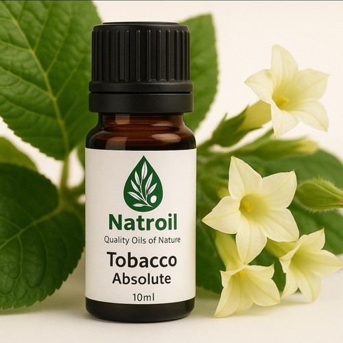 Tobacco 100 pure absolute oil - pure,