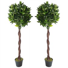 Topiary Bay Trees Pair 120cm
