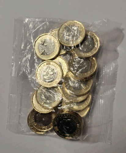 2025 pound bees coin - 2025, £1