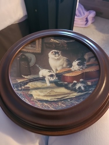 Cat lovers bradford - ,