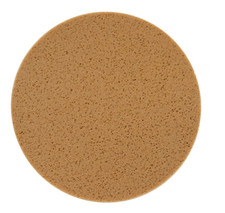 Replacement sponge disc for - disc,
