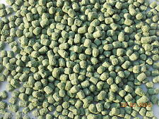 5kg Japanese Koi Carp Hi