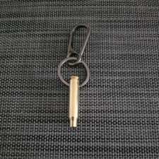 22-223 Brass cartridge