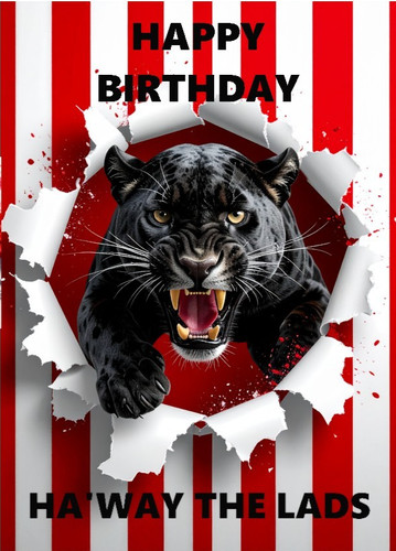 Sunderland black cat football - sunderland,